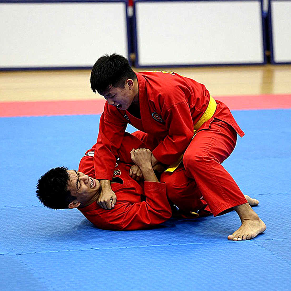 The 0.133-Point Gap: Duong Thuy Vi and the Last Leaves of Vietnamese Wushu's Evergreen The 0.133-Point Gap: Duong Thuy Vi and the Last Leaves of Vietnamese Wushu's Evergreen