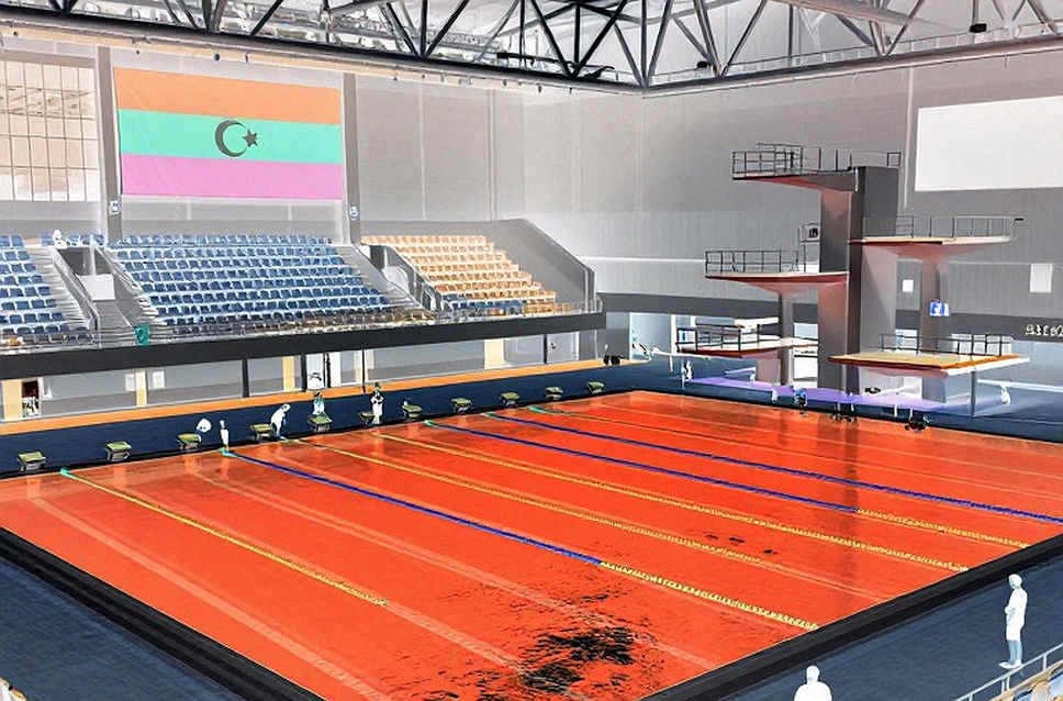 Nine Columns, Zero Information Points: The Swimming Data Audit That Returned an Empty File